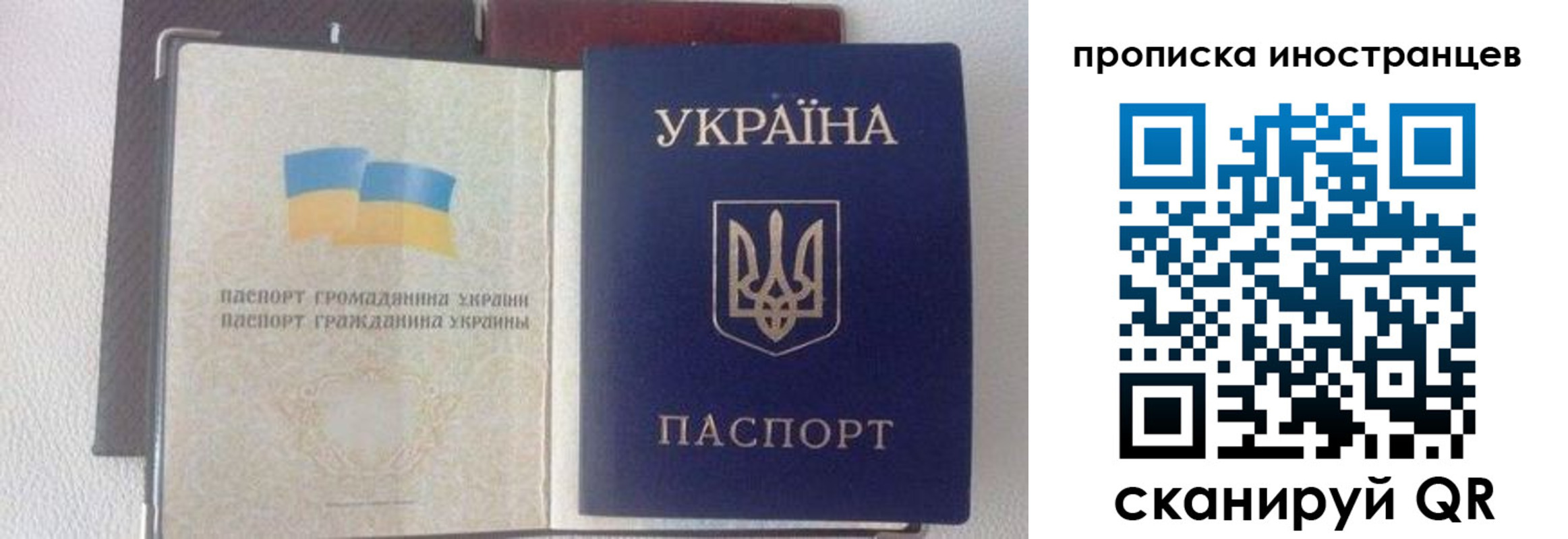 регистрация в Рязанской области